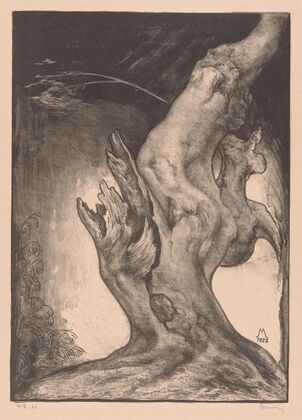 Boomstronk (1922)