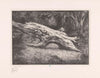 Boomstronk Le Charlemagne (Fontainebleau) (1931)