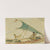 Boot vor der Insel Puinipet (Ponape), Caroline Islands by Joseph Selleny