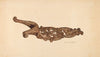 Bootjack