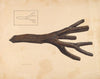 Bootjack