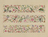 Border or Valance