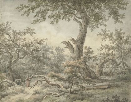 Boslandschap