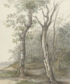 Boslandschap