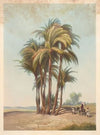 Bouquet de palmiers (Cluster of palm trees) (1941)
