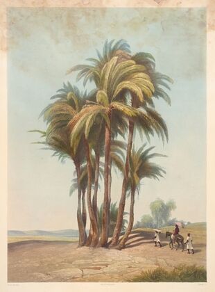 Bouquet de palmiers (Cluster of palm trees) (1941)