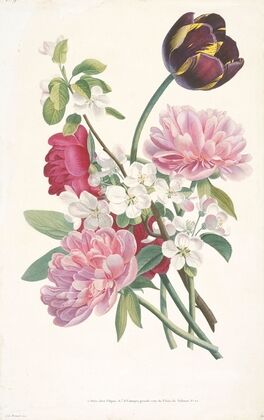 Bouquet of Tulip, Peonies, and a Branch from an Apple Tree