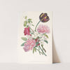 Bouquet of Tulip, Peonies, and a Branch from an Apple Tree by After Jean Louis Prévost