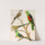 Bourke&#039;s Parrakeet,Red Winged Parrakeet,Blood-Rumped Parrakeets by W. A . Blakston