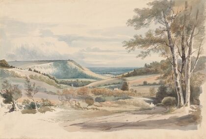 Boxhill from West Humble Lane