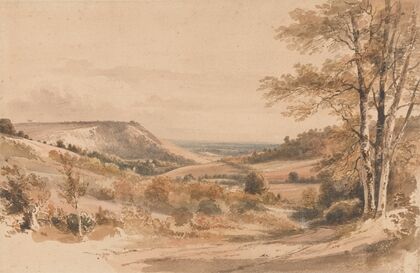 Boxhill from Westhumble Lane