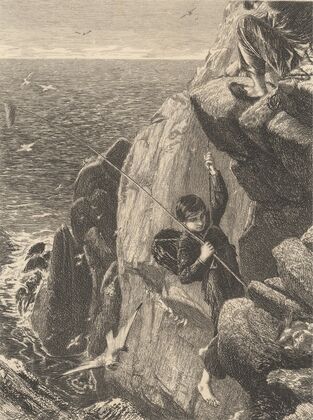 Boys Collecting Eggs on Cliff Face