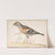 Bramling (Fringilla Montifringilla) by Gerardus van Veen