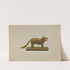 Brass Dog Nutcracker by Vincent P. Rosel
