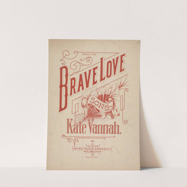 Brave love by Anonymous