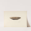 Bread Dough Bowl by Mary Hansen
