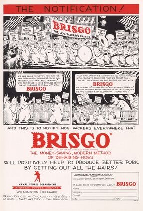 Brisgo: The Notification!