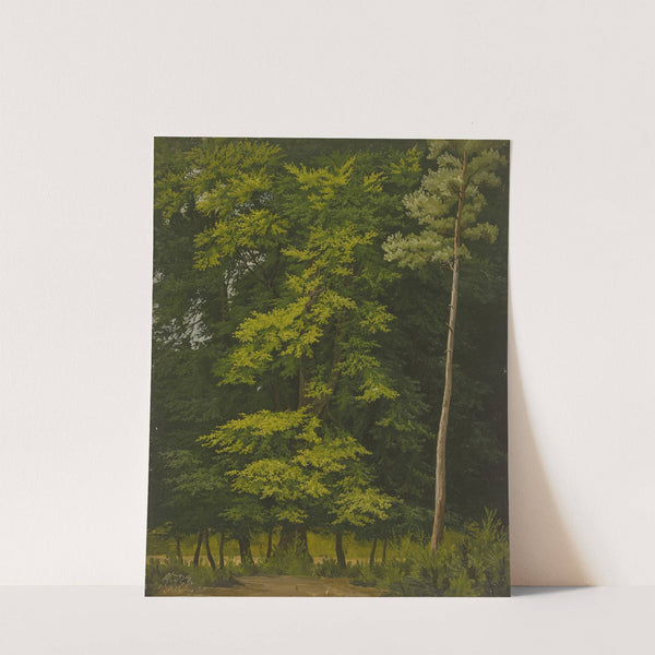 Broadleaf forest (study in oil) by Christian Heerdt