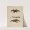 Brooch (1935-1942) by John H. Tercuzzi