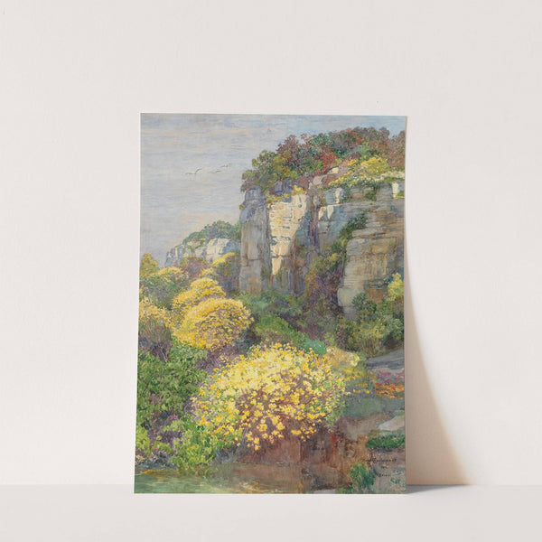 Broom in bloom on Brioni by Hugo Charlemont