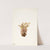 Broomrape (Orobanche fasciculata) (1933) by Mary Vaux Walcott