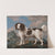 Brown and White Norfolk or Water Spaniel (1778) by George Stubbs