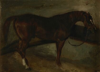 Brown horse