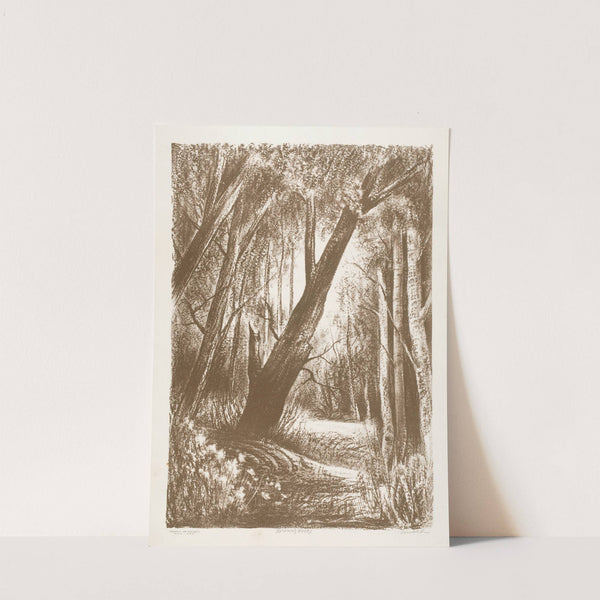 Brown’s Woods (1935-1943) by Russell T. Limbach