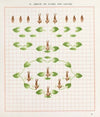 Brushwork Pl.18