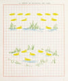 Brushwork Pl.19