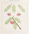 Brushwork Pl.22