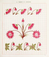 Brushwork Pl.27