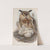 Bubo maximus. Eagle Owl. (1862-1873) by John Gould