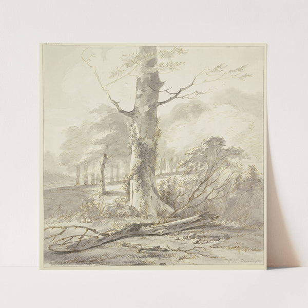 Buchenstamm am Waldrand, davor ein abgefallener Ast by Gerard van Nijmegen