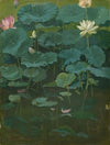 Buddha’s Flowers; Lotus, Tokyo (1894)