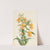 Buff Monkeyflower (Diplacus longiflorus) (1926) by Mary Vaux Walcott