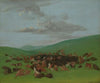 Buffalo Chase, A Surround by the Hidatsa