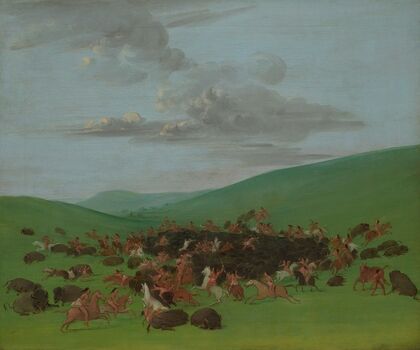 Buffalo Chase, A Surround by the Hidatsa