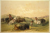 Buffalo Hunt; A Numerous Group