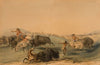 Buffalo Hunt, Chase