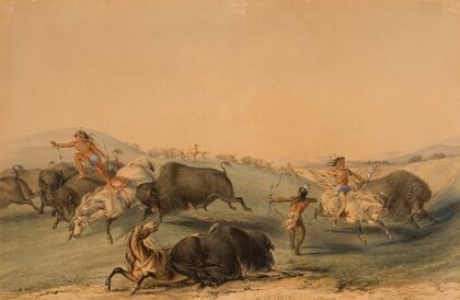 Buffalo Hunt, Chase