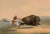Buffalo Hunt, Chase–No. 5