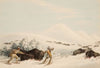Buffalo Hunt, On Snow Shoes