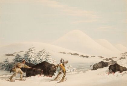 Buffalo Hunt, On Snow Shoes