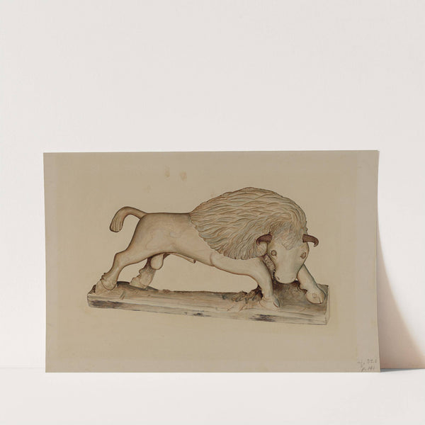 Buffalo by Robert Gilson