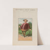 Bufford&#8217;s fruit cards, no. 779-3 [plum] (1887) by John H. Bufford'''s &amp; Sons