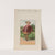 Bufford&#8217;s fruit cards, no. 779-3 [plum] (1887) by John H. Bufford'''s &amp; Sons