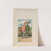 Bufford&#8217;s vegetable cards, no. 790-1 [potato] (1887) by John H. Bufford'''s &amp; Sons
