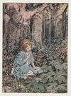 Bugs and wings and other things – frontispiece