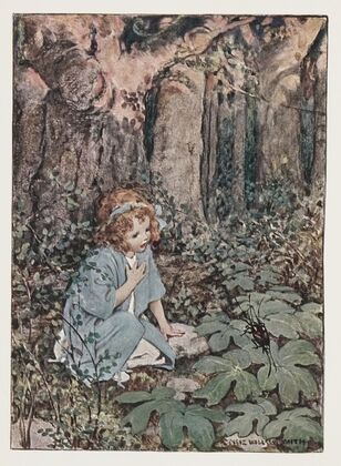 Bugs and wings and other things – frontispiece